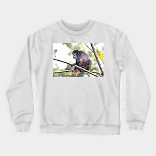 Howler monkeys - Costa Rica Crewneck Sweatshirt